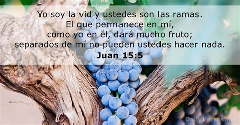 john 15 mbbtag|Juan 15:5 .